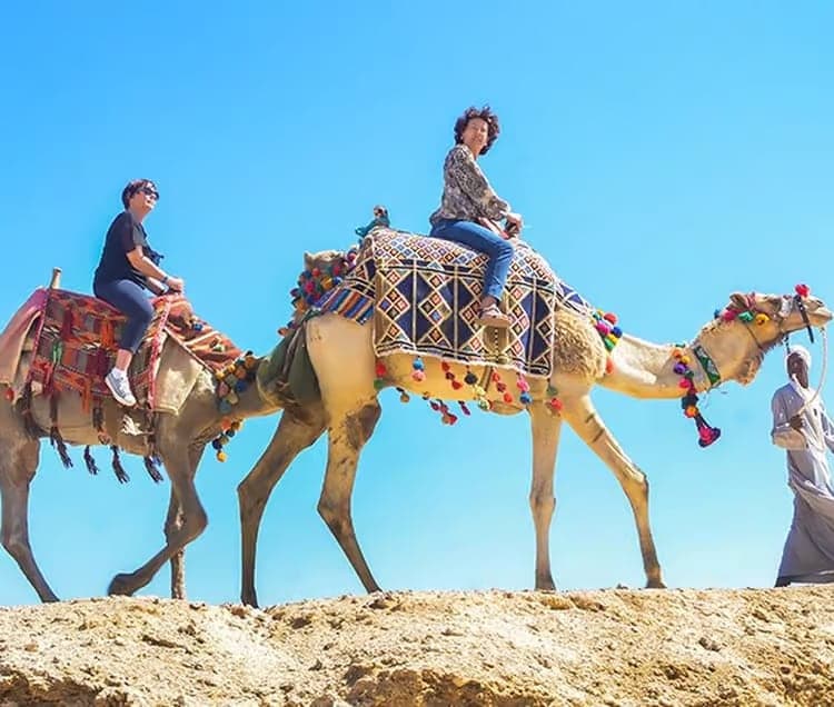 Guests riding camels with colourful saddle blankets, led by a handler, on a desert ride in Wadi El Gemal