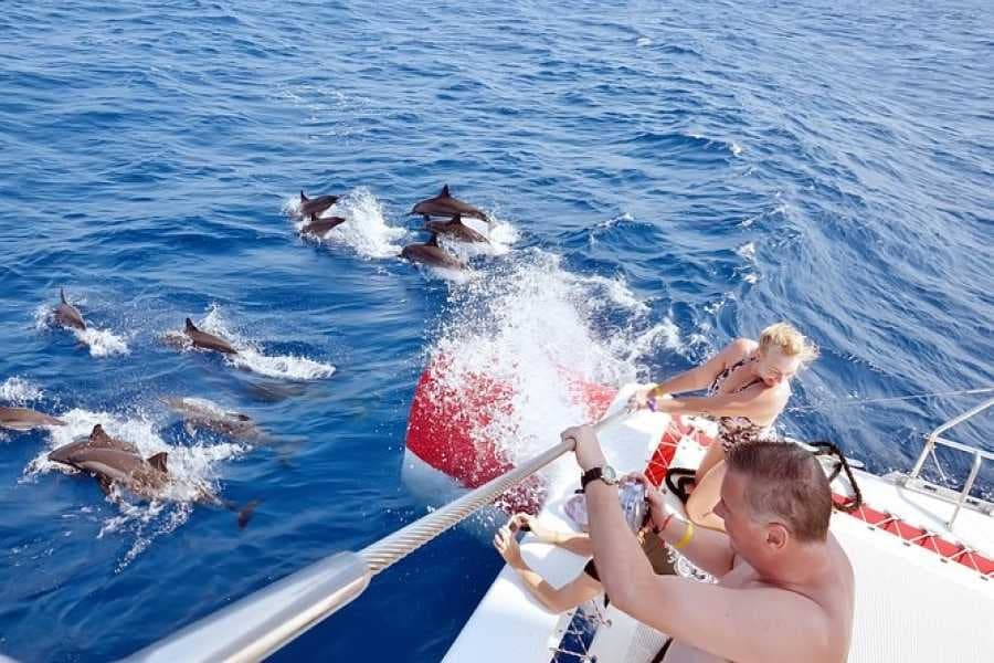 Guests on a boat watching wild dolphins swim alongside on a trip to Sataya Reef